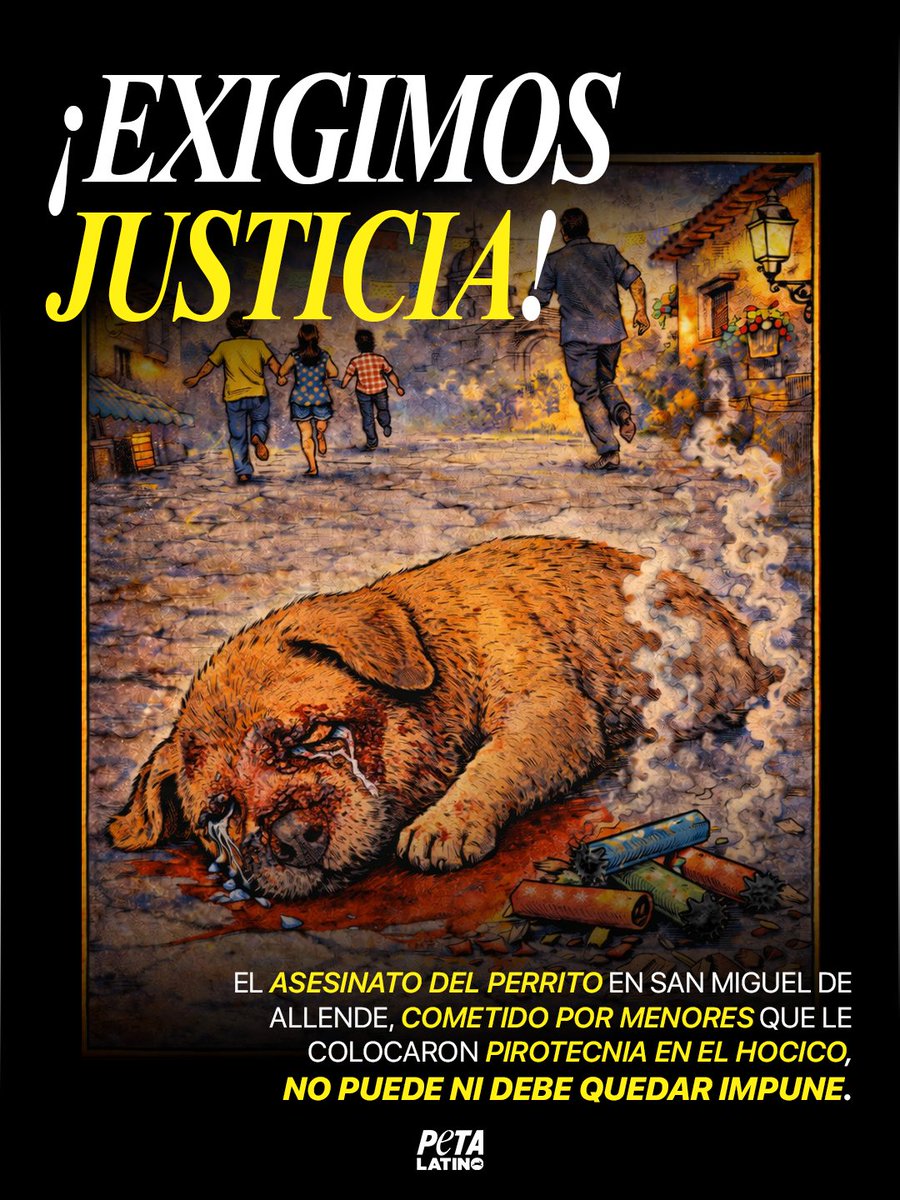 ¡JUSTICIA YA!
⚠️En la colonia Allende, menores de edad asesinaron a un perrito. No fue un juego. No fue una travesura. FUE ALGO ALARMANTE 🚨
👉Ve a la página de la <a href="/FGEGUANAJUATO/">Fiscalía General del Estado de Guanajuato</a>, <a href="/GobMunicipalSMA/">Gobierno Municipal de San Miguel de Allende</a> y exige acción.
Porque la impunidad solo alimenta más violencia.