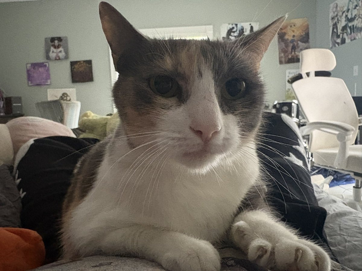 <a href="/111evie_/">evie</a> HELP