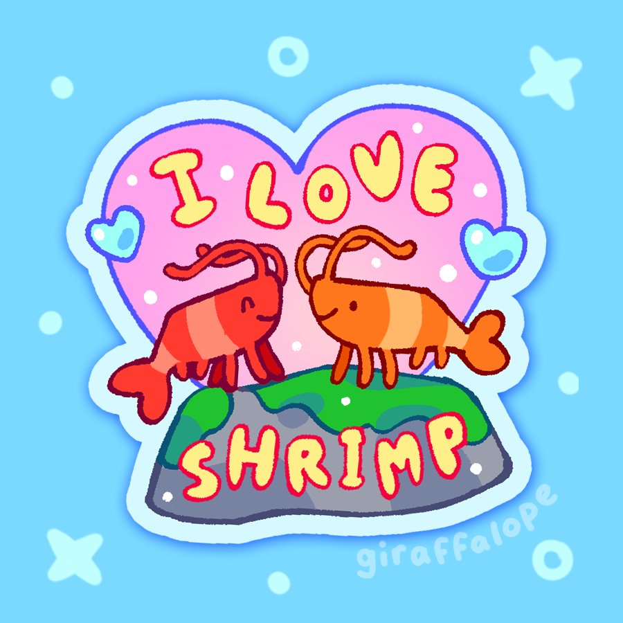 Giraffaloops's tweet image. Shrimps!! 🦐
