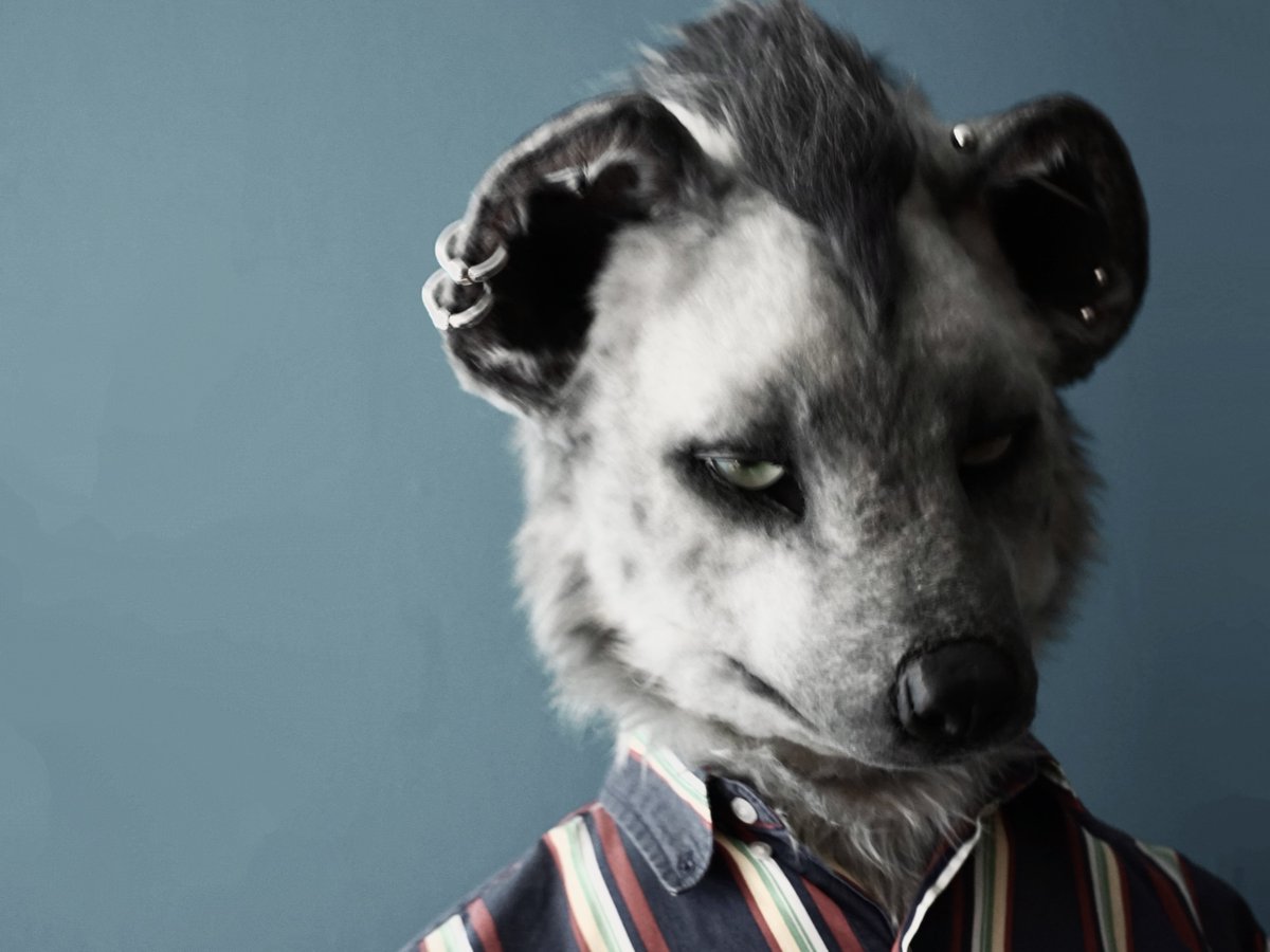 Nishikado_Yeen's tweet image. #shippocrafts
#SolitaCrocuta