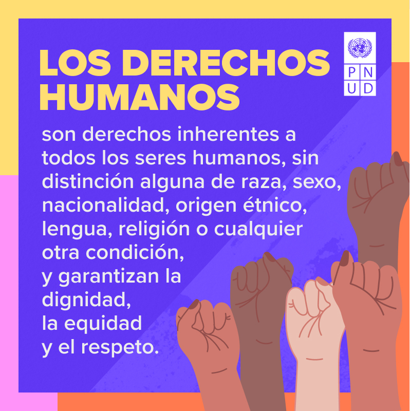 Los derechos humanos son de todas las personas.

Sin excepción.

Cuando los integramos en el desarrollo, se garantiza la dignidad humana y nadie queda atrás.

Este 2026, ¡#DefiendeLosDerechosHumanos!

✊ go.undp.org/JxA
