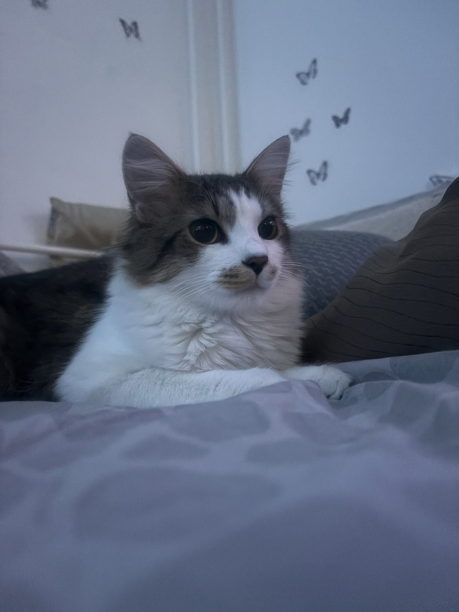 andrejae's tweet image. Poglej, kak poziram 🤓
❤️🥰