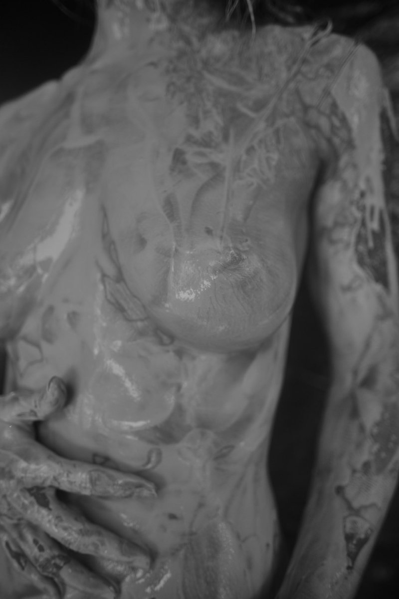 moss von faustenberg tweet media