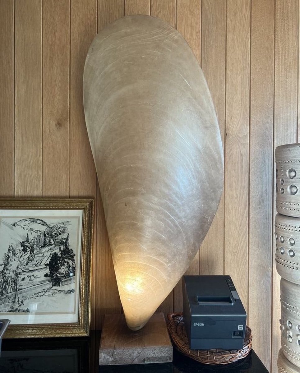 Vintage fiberglass lamp shaped like a bivalle shell, 1970s Italy