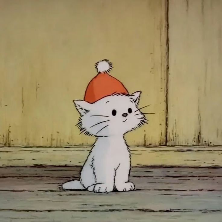 only cute things (@cutedreamvibes) on Twitter photo 