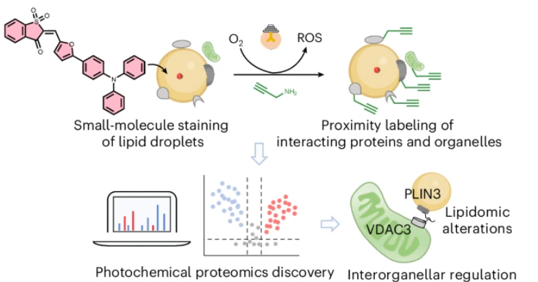 Nature Chemical Biology tweet media
