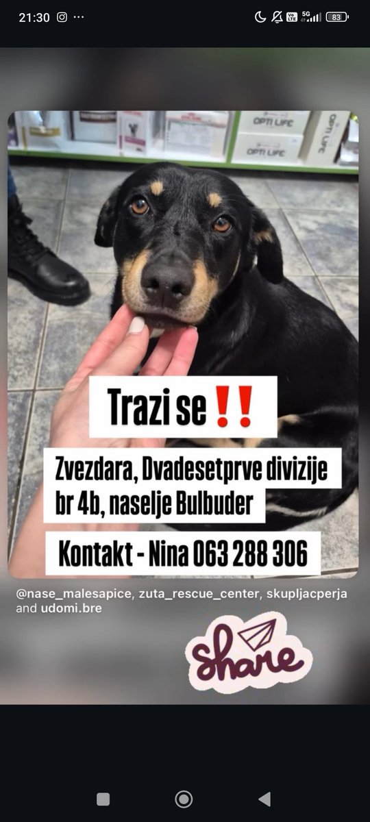 Kristal Met Dejmon (@sanjazivi) on Twitter photo 