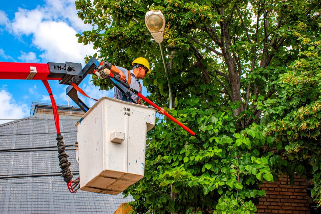 MuniCba's tweet image. 🚧 ¡Reforzamos las tareas de mantenimiento en los barrios de #CórdobaCapital!  

Con trabajos en la red de cloacas, bacheos, reparación, despeje y recambio de luminarias, poda baja y desmalezado, las cuadrillas municipales recorren distintos puntos de la ciudad.