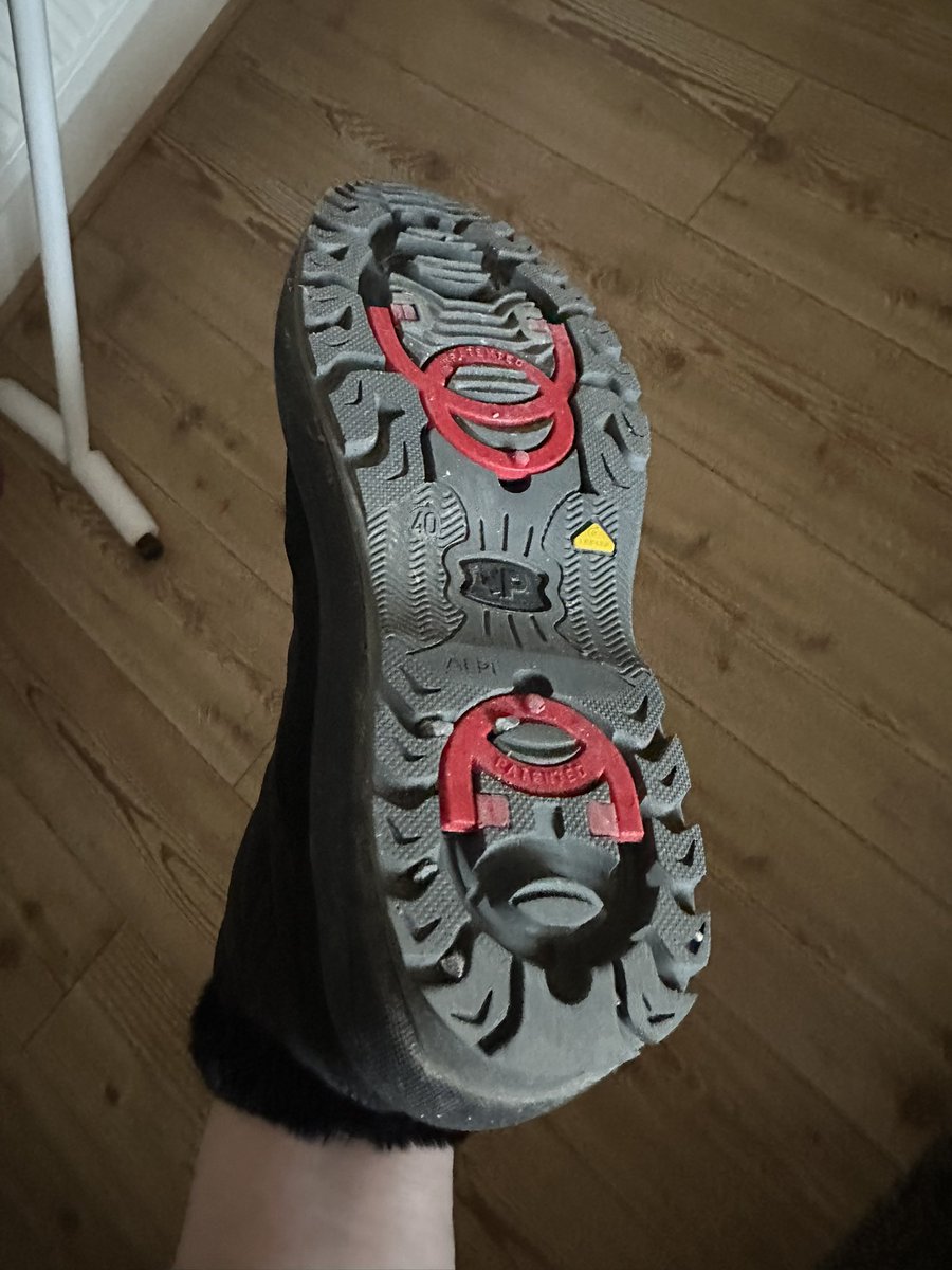 Elaine Penn tweet media