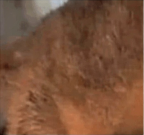 tap the post *yapapa