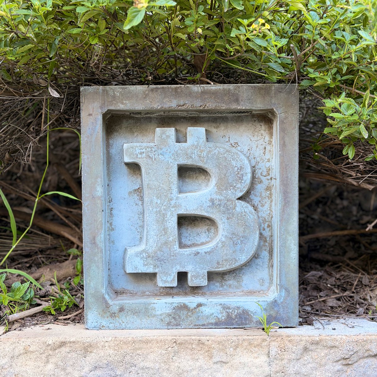 Brekkie⚒️ tweet media