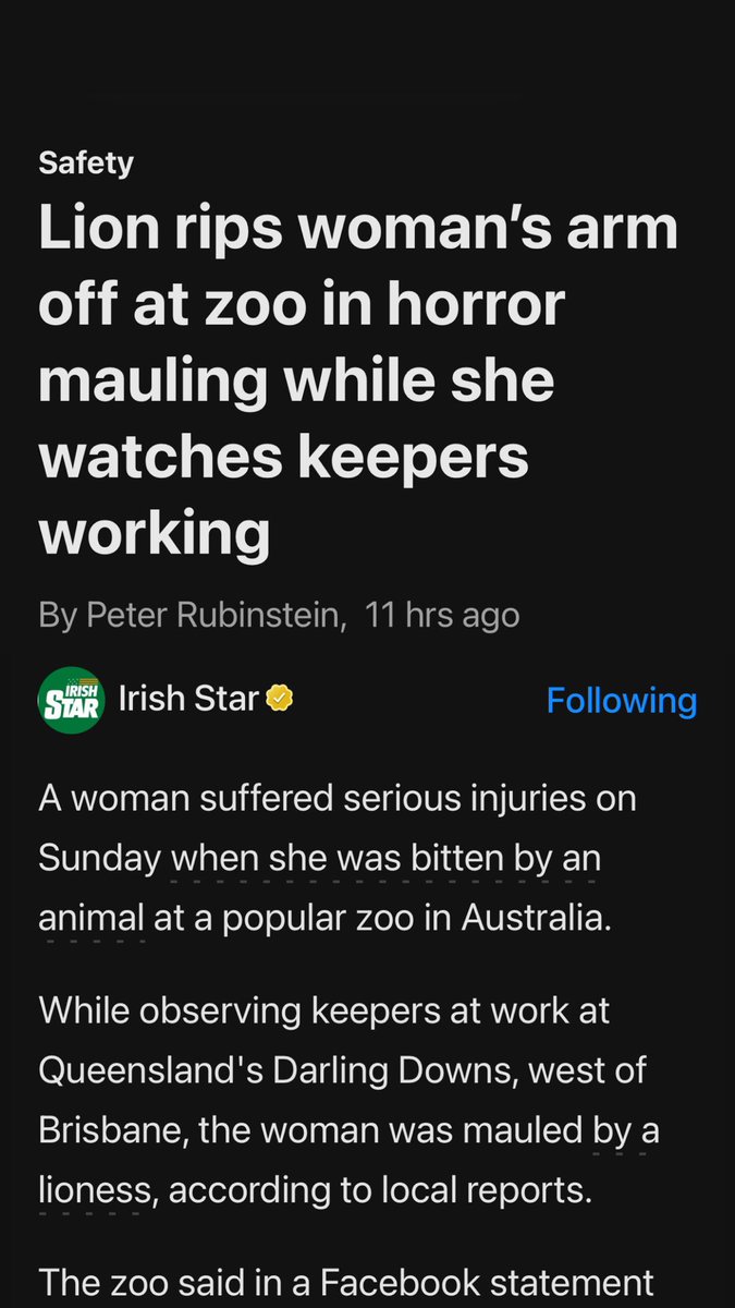 Lion mania