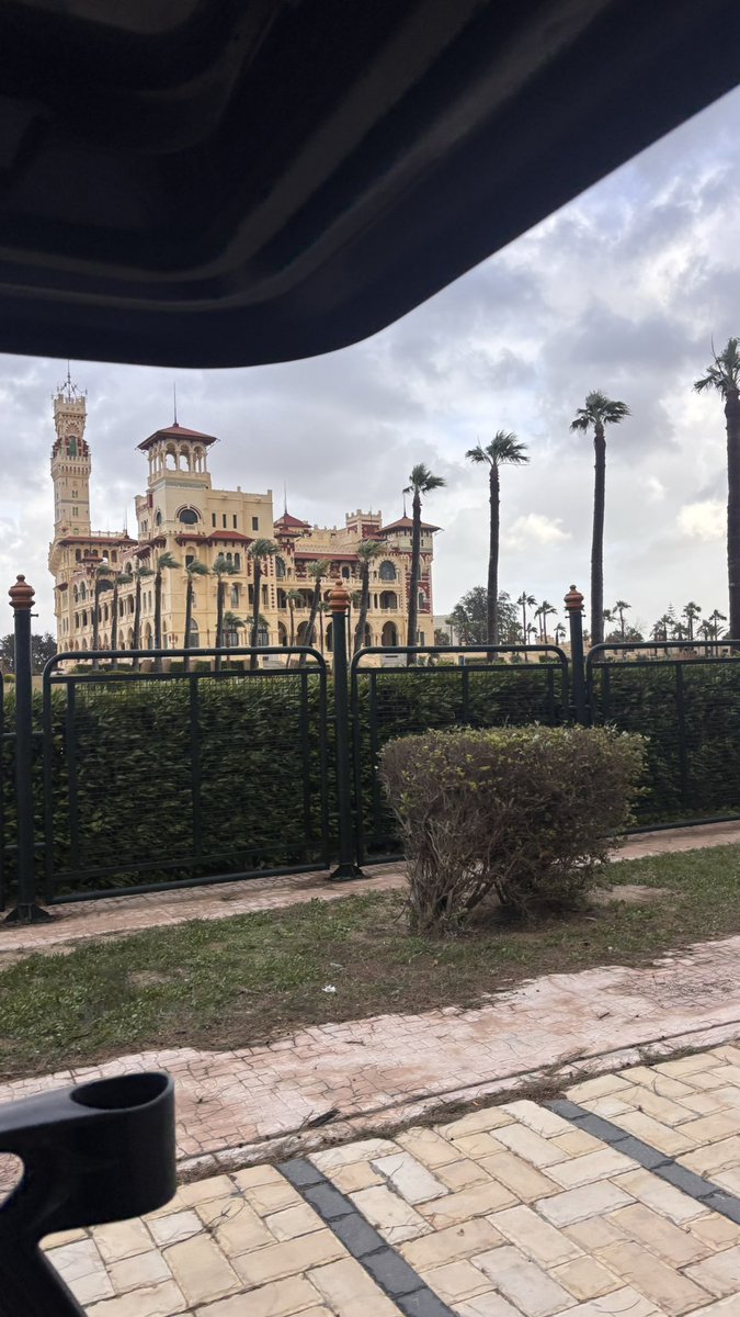 _wt73's tweet image. As usual 🇪🇬😂