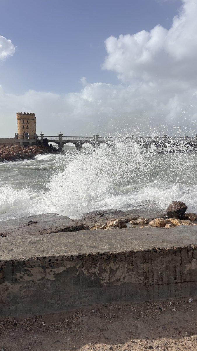 _wt73's tweet image. As usual 🇪🇬😂