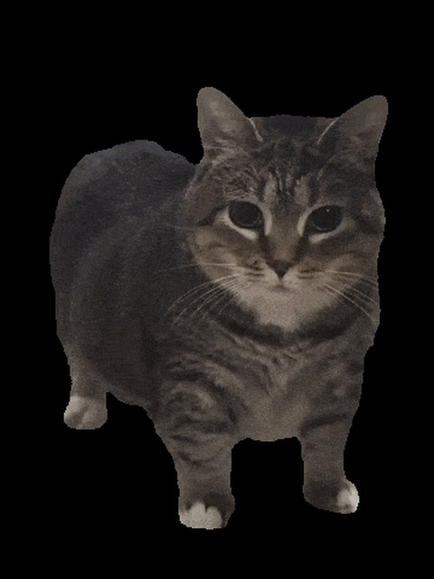 ♱̷̸ ꙳𝚅𝙸𝙽＿ׄ❛❜ tweet media