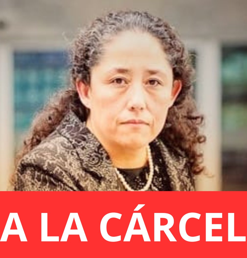 Por destruirle la vida a Crespo, Zamora, Maturana, y decenas de Carabineros que defendieron a los chilenos de vándalos criminales. Ximena Chong en un país serio deberia estar en un solo lugar: