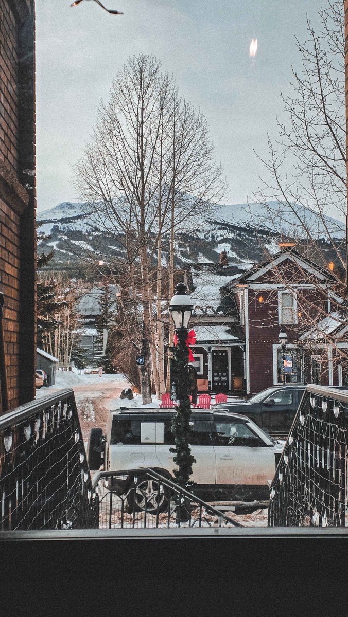 Jambo 🐻 tweet media