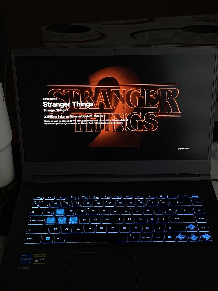 Şeyy yeni başladım izlemeye de…bayildim