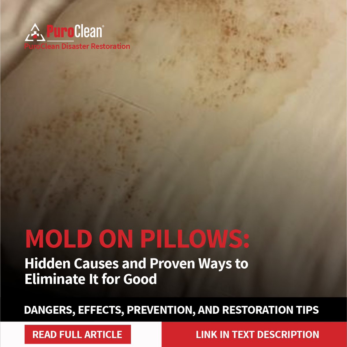 PuroCleanIndy's tweet image. Mold on Pillows in Fort Wayne: What Causes It, Why It's Dangerous, and Permanent Solutions That Work

Read Full Guide Here:&amp;gt;&amp;gt;&amp;gt;
puroclean.com/greenfield-in-…

#Mold #MoldProblem #HomeProblems #HealthyHome #HomeCare #HomeTips #HomeMaintenance #CleaningTips #HomeHacks #HouseholdTips