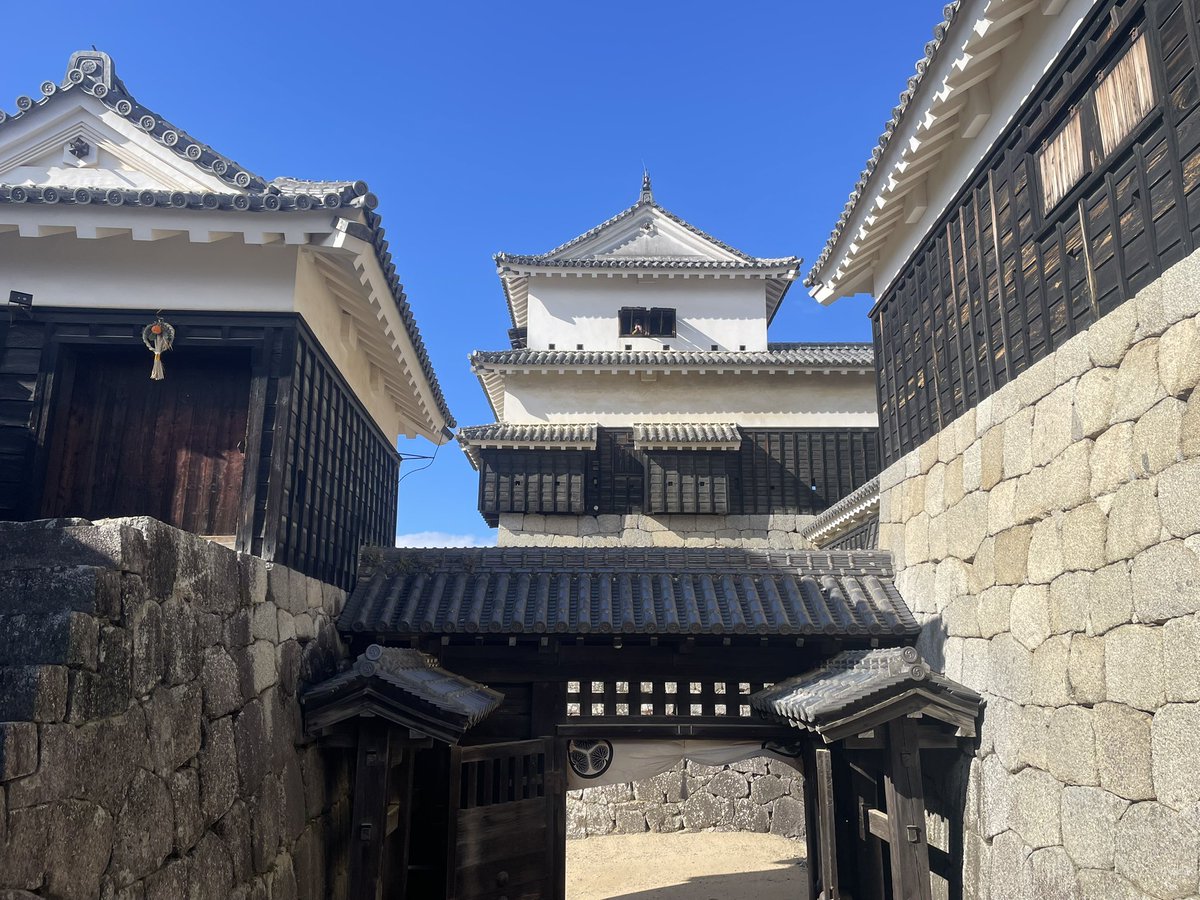 kawazo28's tweet photo. 🏯 勝山にそびえる現存12天守の一つ！松山城を訪れました
愛媛県松山市にある松山城は、関ヶ原の戦いで活躍した名将・**加藤嘉明（かとう よしあき）**が築城を開始した、四国最大級の城郭です。標高132mの勝山山頂に本丸を構え、ふもとまで広がる巨大な「連立式天守」は圧巻の迫力！
このお城の凄さは、なんといっても江戸時代以前からの天守が残る**「現存12天守」の一つであること。さらに、門や櫓（やぐら）など21棟もの建造物が国の重要文化財**に指定されている、まさに歴史の宝庫です。
攻め寄せる敵を迷わせる複雑な石垣の迷路や、隠門（かくれもん）などの防御の仕掛けは、戦国時代の名残を感じさせます。
ロープウェイで登れば、瀬戸内海から石鎚山まで見渡せる絶景が広がります！加藤嘉明がこだわり抜き、その後、親藩の久松松平氏が大切に守り抜いた、美しくも堅牢な歴史のロマンに触れられる最高のスポットでした。
#松山城 #現存12天守 #加藤嘉明 #歴史 #愛媛観光 #お城巡り #四国