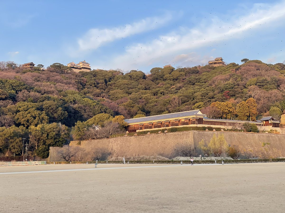 kawazo28's tweet photo. 🏯 勝山にそびえる現存12天守の一つ！松山城を訪れました
愛媛県松山市にある松山城は、関ヶ原の戦いで活躍した名将・**加藤嘉明（かとう よしあき）**が築城を開始した、四国最大級の城郭です。標高132mの勝山山頂に本丸を構え、ふもとまで広がる巨大な「連立式天守」は圧巻の迫力！
このお城の凄さは、なんといっても江戸時代以前からの天守が残る**「現存12天守」の一つであること。さらに、門や櫓（やぐら）など21棟もの建造物が国の重要文化財**に指定されている、まさに歴史の宝庫です。
攻め寄せる敵を迷わせる複雑な石垣の迷路や、隠門（かくれもん）などの防御の仕掛けは、戦国時代の名残を感じさせます。
ロープウェイで登れば、瀬戸内海から石鎚山まで見渡せる絶景が広がります！加藤嘉明がこだわり抜き、その後、親藩の久松松平氏が大切に守り抜いた、美しくも堅牢な歴史のロマンに触れられる最高のスポットでした。
#松山城 #現存12天守 #加藤嘉明 #歴史 #愛媛観光 #お城巡り #四国