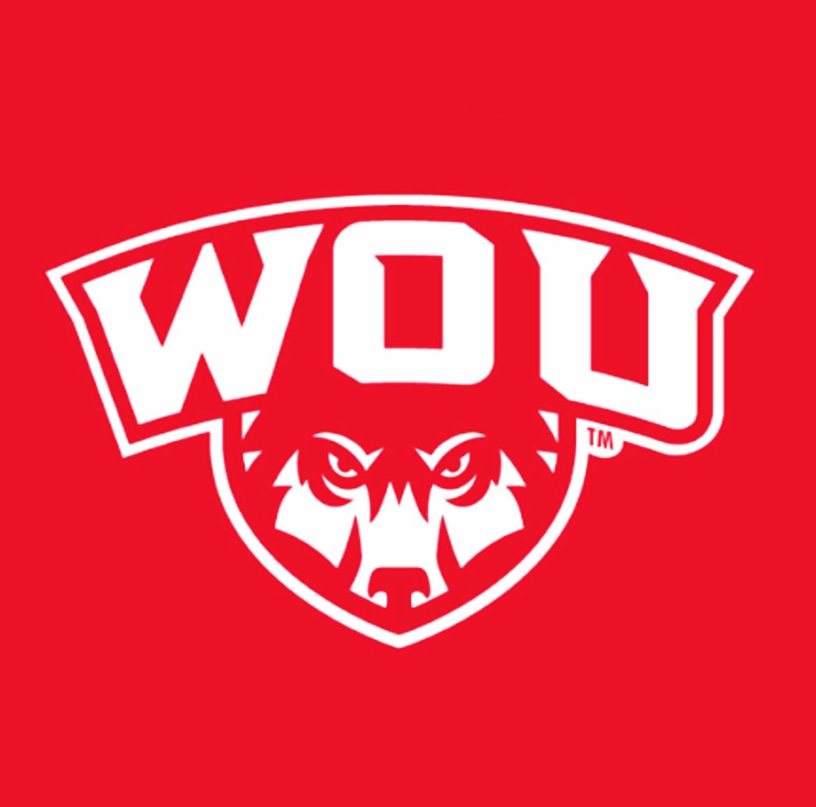 Levi Walker tweet media