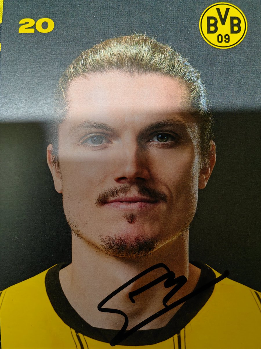 hohensov's tweet image. 