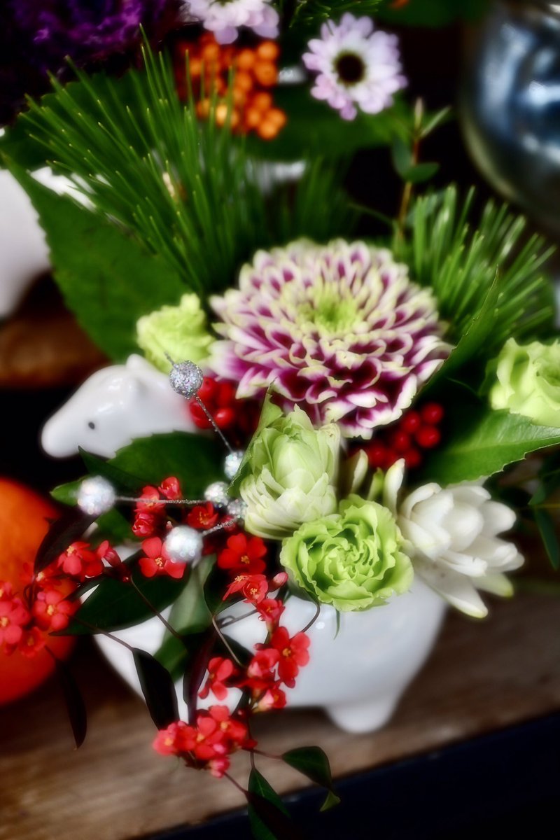 Flower Photo Club Community on X - 4.5K Members