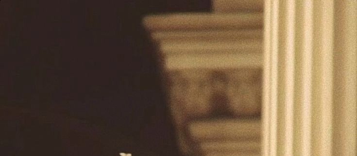 KnightWorld's tweet image. Diana, Princess of Wales
Tap the post