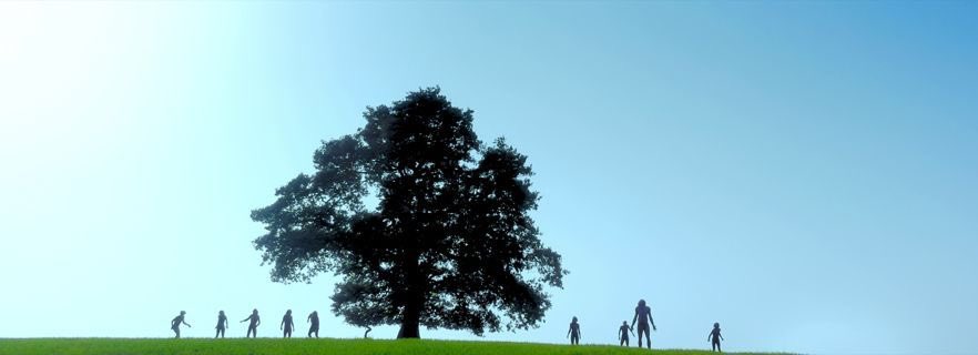 dkmsully's tweet image. Memento Amoris. Remember you must love.