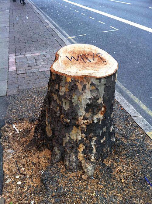 DimSce's tweet image. 