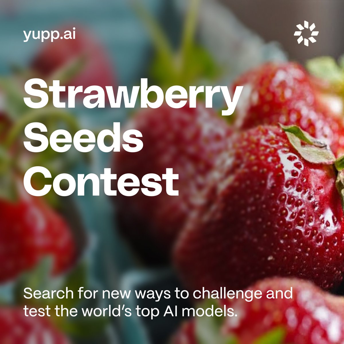 Strawberry Seeds Contest 🍓

We're always looking for new ways to challenge and test the world's top AI models - a core of Yupp's side-by-side comparison power!

This new event invites you to join us in the search and win big Yupp prizes for your findings 🙌