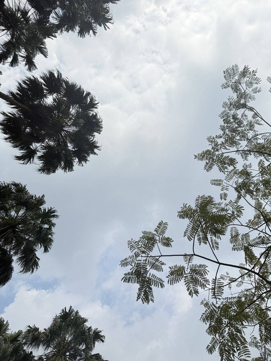 Yohn Ding tweet media