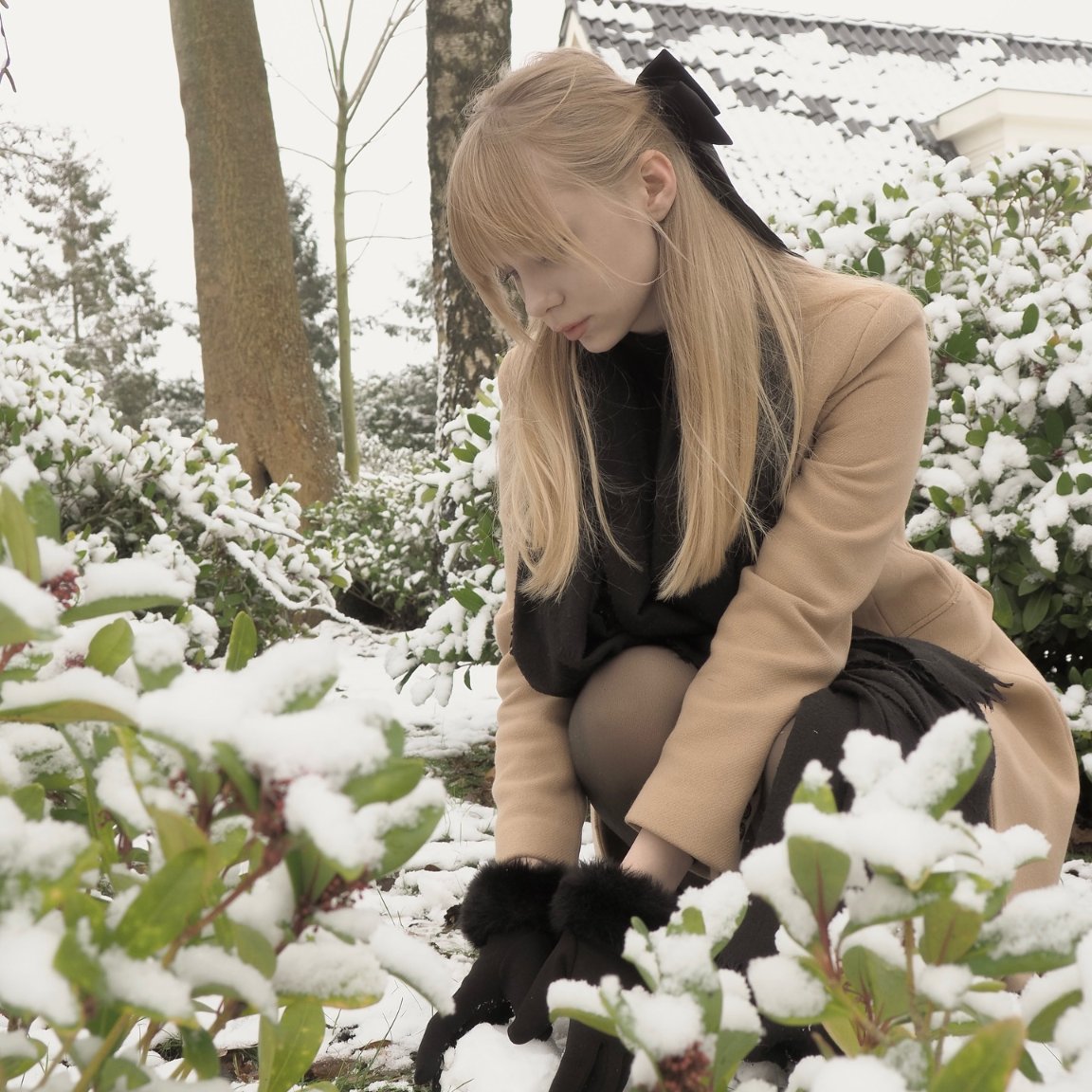 Jensen_Annee's tweet photo. Only when I crouch down can I see the little world buried in snow https://t.co/AQ9wwJQz55