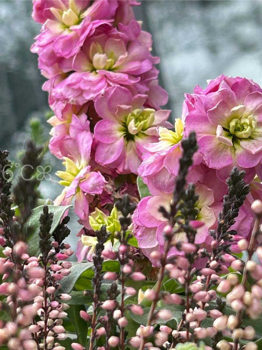 kazumi (@zf1118kazumi) / Posts / X