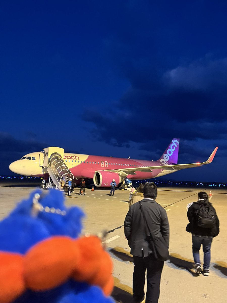 tankobuart's tweet image. 沖縄キャンプ🎵
今から行ってきまーす