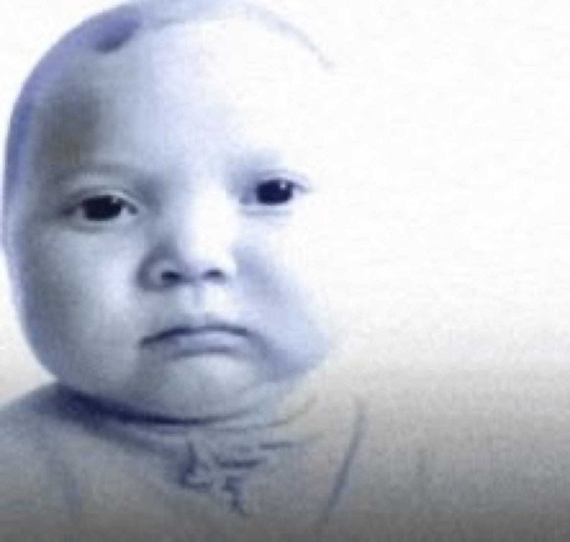 Marchigo tweet media