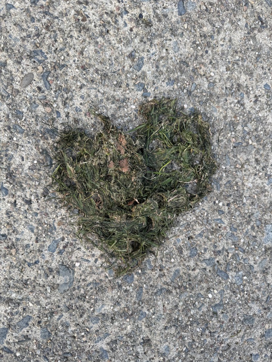 CarlsonScrptr's tweet photo. BROKEN HEART https://t.co/Njd4Nq9Hnp