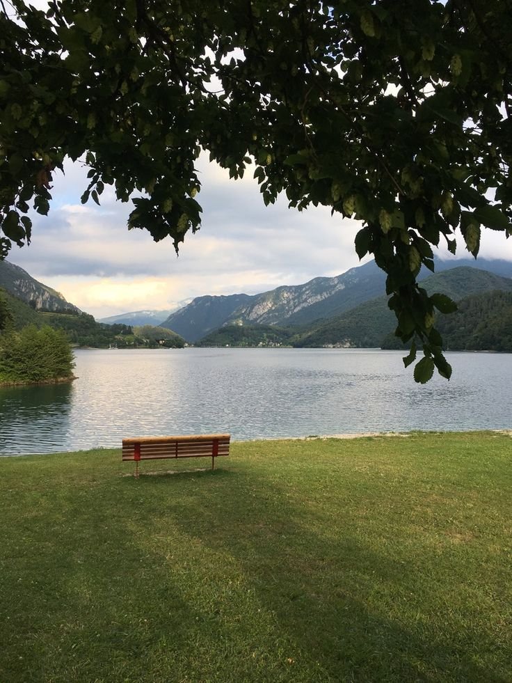 purelivn's tweet image. 