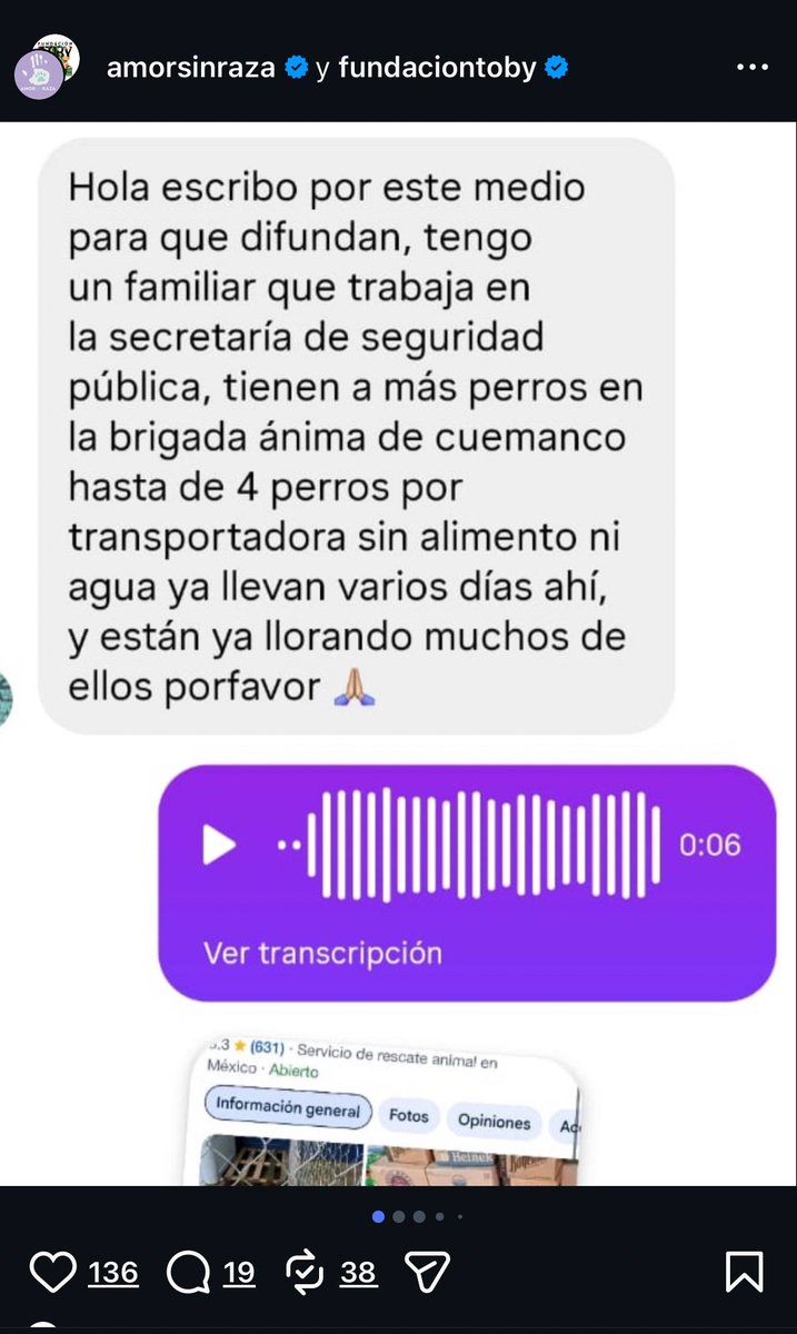 HELA_MORE's tweet image. ¿De verdad está bien tener a 3 perritos del San Franciscano dentro de una sola transportadora?
Y cuantos más estarán así 💔
A todos los que estuvieron de acuerdo con ese “rescate”, ¿esto también les parece correcto?

Un rescate no es solo sacarlos de donde estaban y amontonarlos…