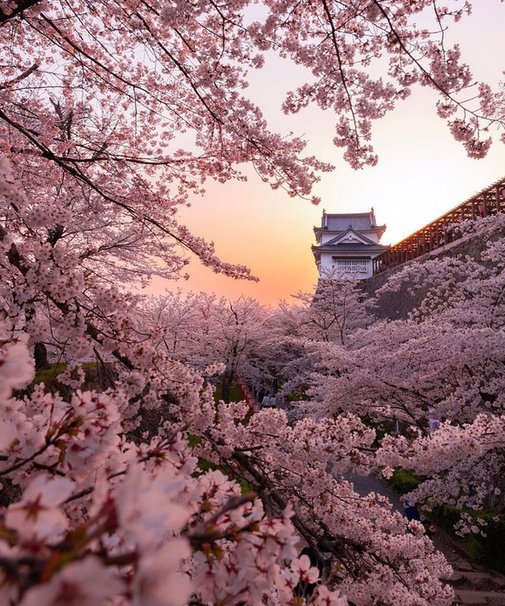 service113's tweet image. 電車で席を譲ろうとしたら、相手に断られて微妙な空気になった
善意も難しい 🥐