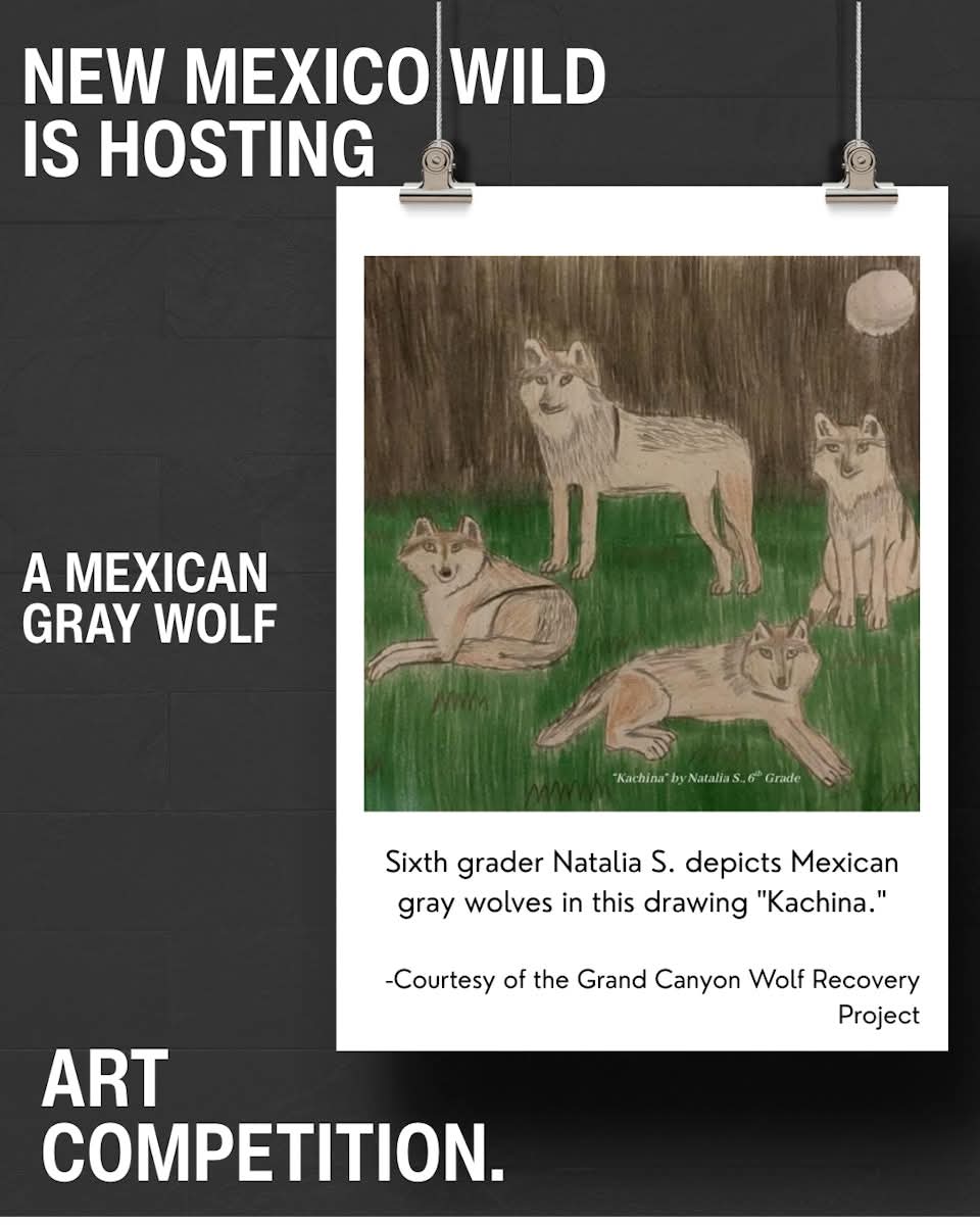 GC Wolf Recovery tweet media