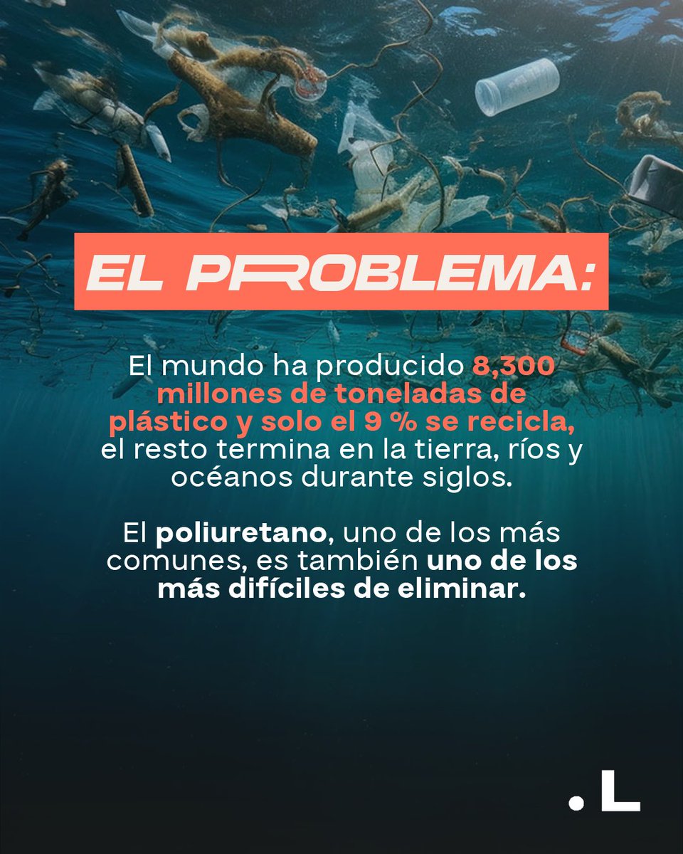 latankmedia's tweet photo. Solo el 9% del plástico mundial se recicla. El resto contamina durante siglos. 🦠♻️

Investigadoras de la @UNAM_MX identificaron una bacteria del Golfo de México capaz de degradar hasta 30% de poliuretano en solo 15 días. @RadioUNAM
#EconomíaCircular  #ResiduosPlásticos #UNAM https://t.co/1k6fICJ6eC