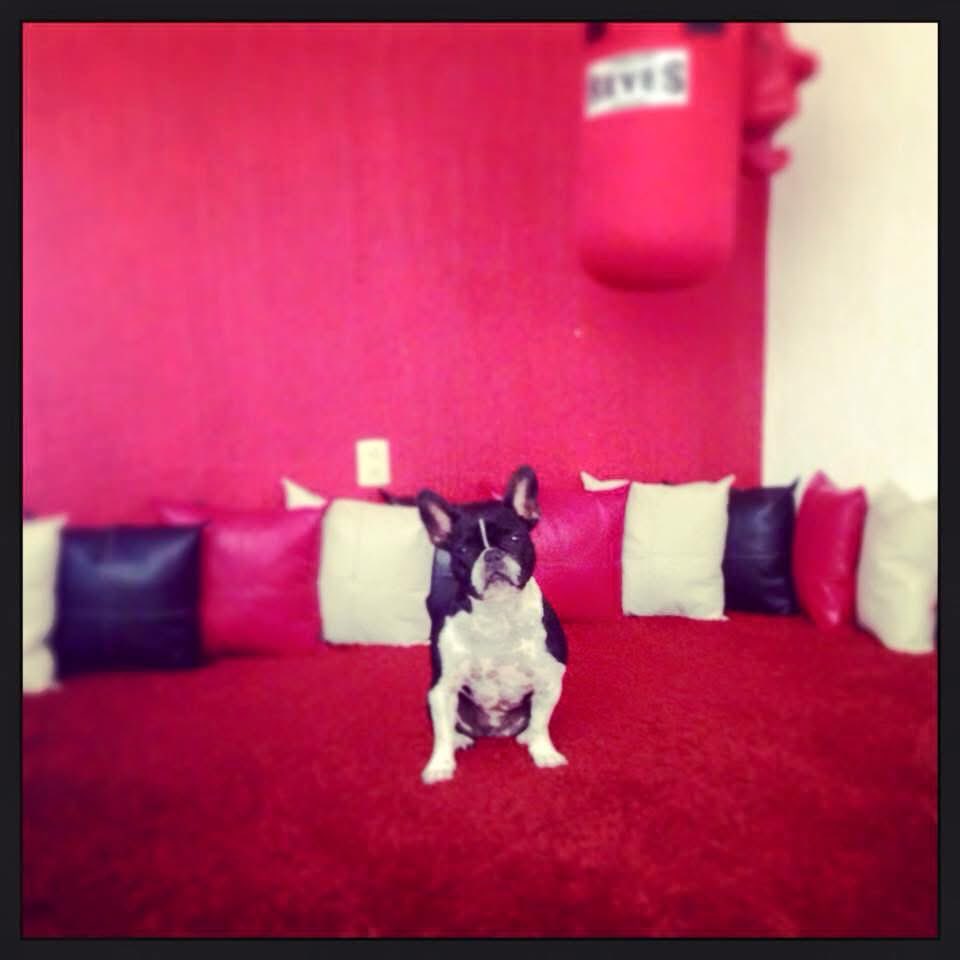 Mía, Mía siempre, mía de mi 🐾❤️