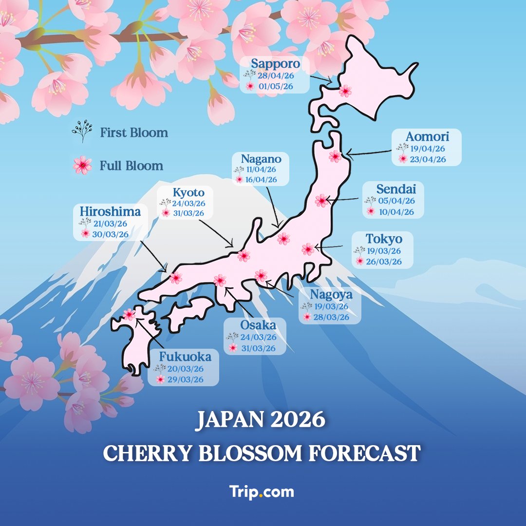Trip's tweet image. Japan’s sakura season is almost here. Discover when and where cherry blossoms reach their peak — and plan the perfect spring trip in 2026. Learn more at trip.com/travel-guide/d… 

Cr: lorrainestraveltips