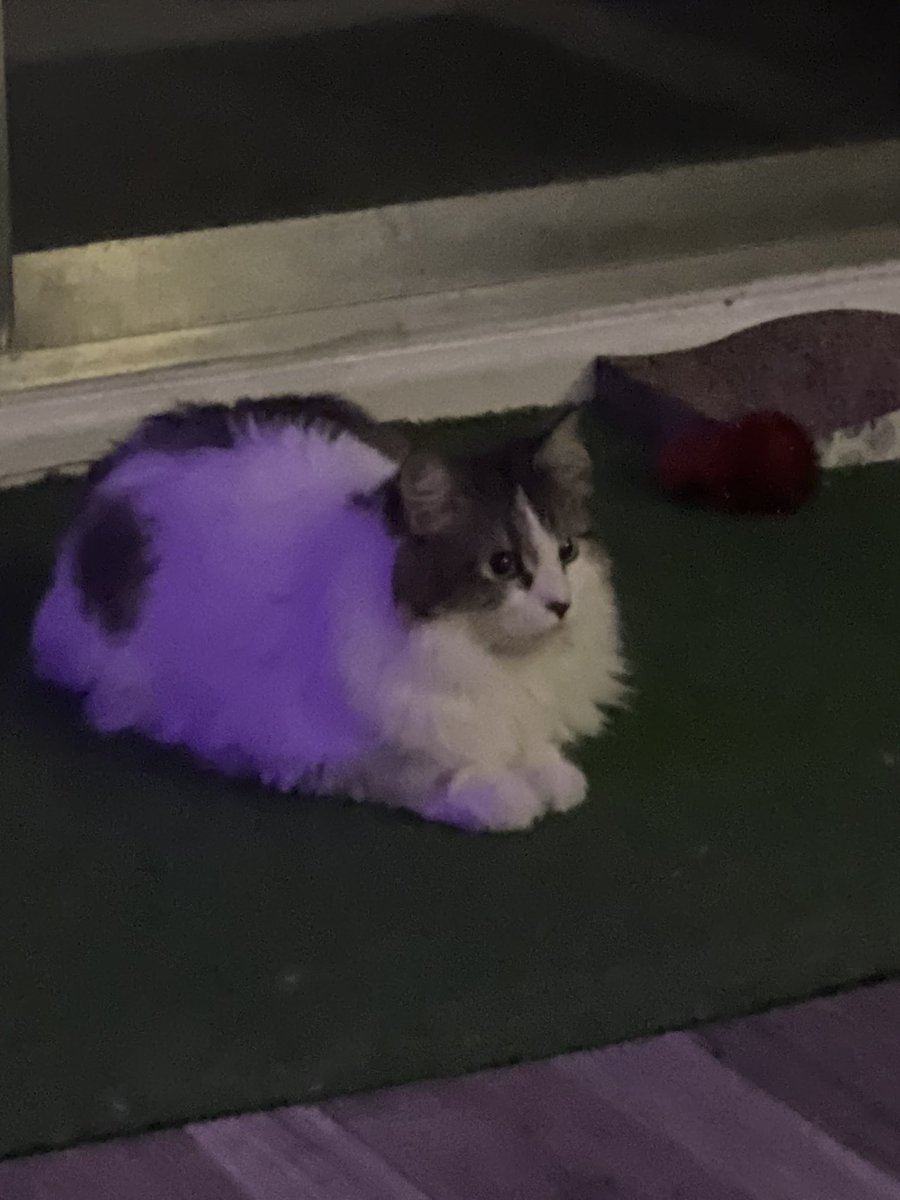 hearscopes's tweet image. flawless form, 10/10, no notes