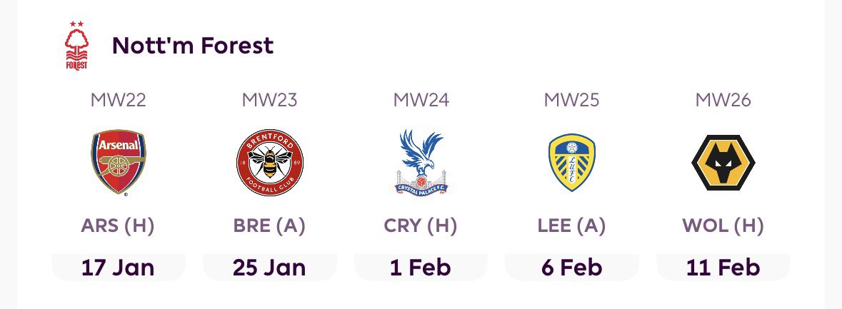 slade🌳 tweet media