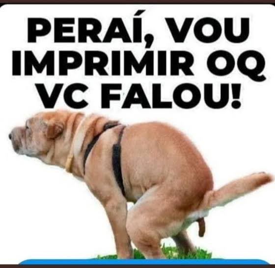 Marcio Revoltz tweet media