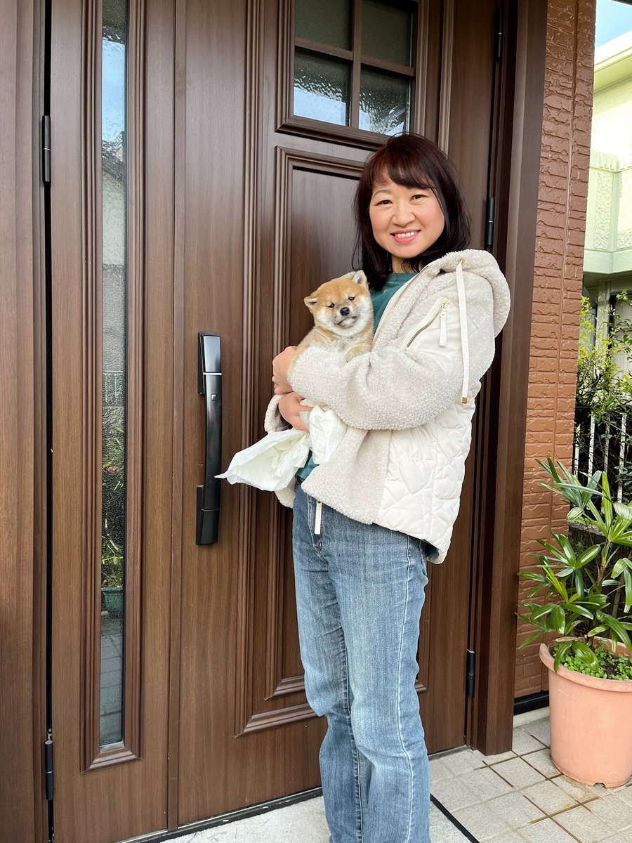 柴犬こめ1歳 (@shibainukome) / Posts / X