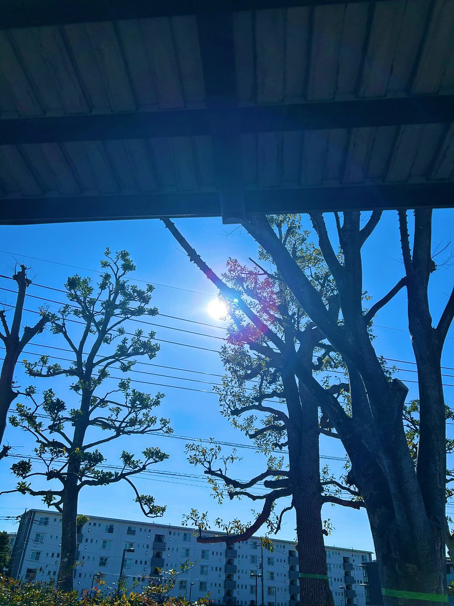 ＃空を見上げて生きていく
＃画面越しにわたしがみたせかい